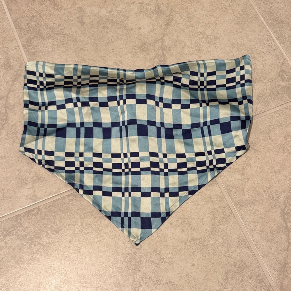 Forever 21 Blue and Cream Plaid Women Crop Top